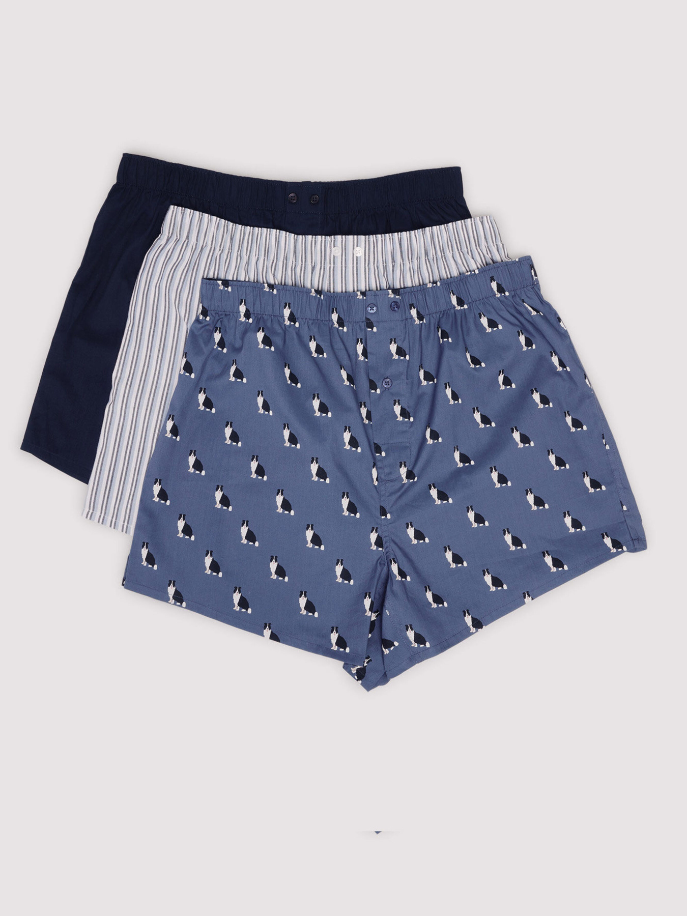 Набор трусов SPRINGFIELD модель 1162684-11 Фото