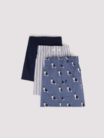 Набор трусов SPRINGFIELD модель 1162684-11 Фото