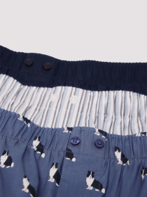 Набор трусов SPRINGFIELD модель 1162684-11 Фото