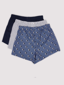 Набор трусов SPRINGFIELD модель 1162684-11 Фото