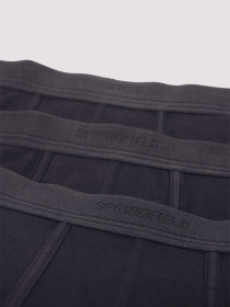 Набор трусов SPRINGFIELD модель 1252169-01 Фото