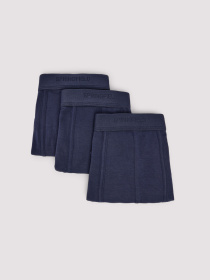 Набор трусов SPRINGFIELD модель 1252169-11 Фото