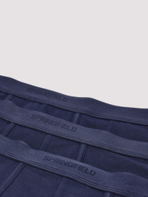 Набор трусов SPRINGFIELD модель 1252169-11 Фото