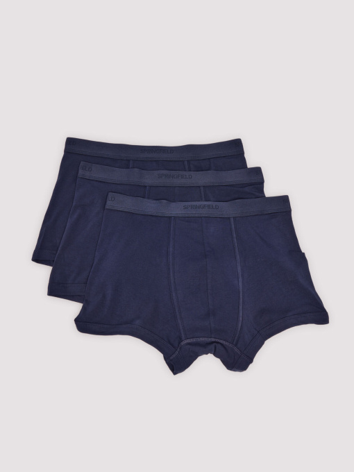 Набір трусів SPRINGFIELD модель 1252169-11 Фото