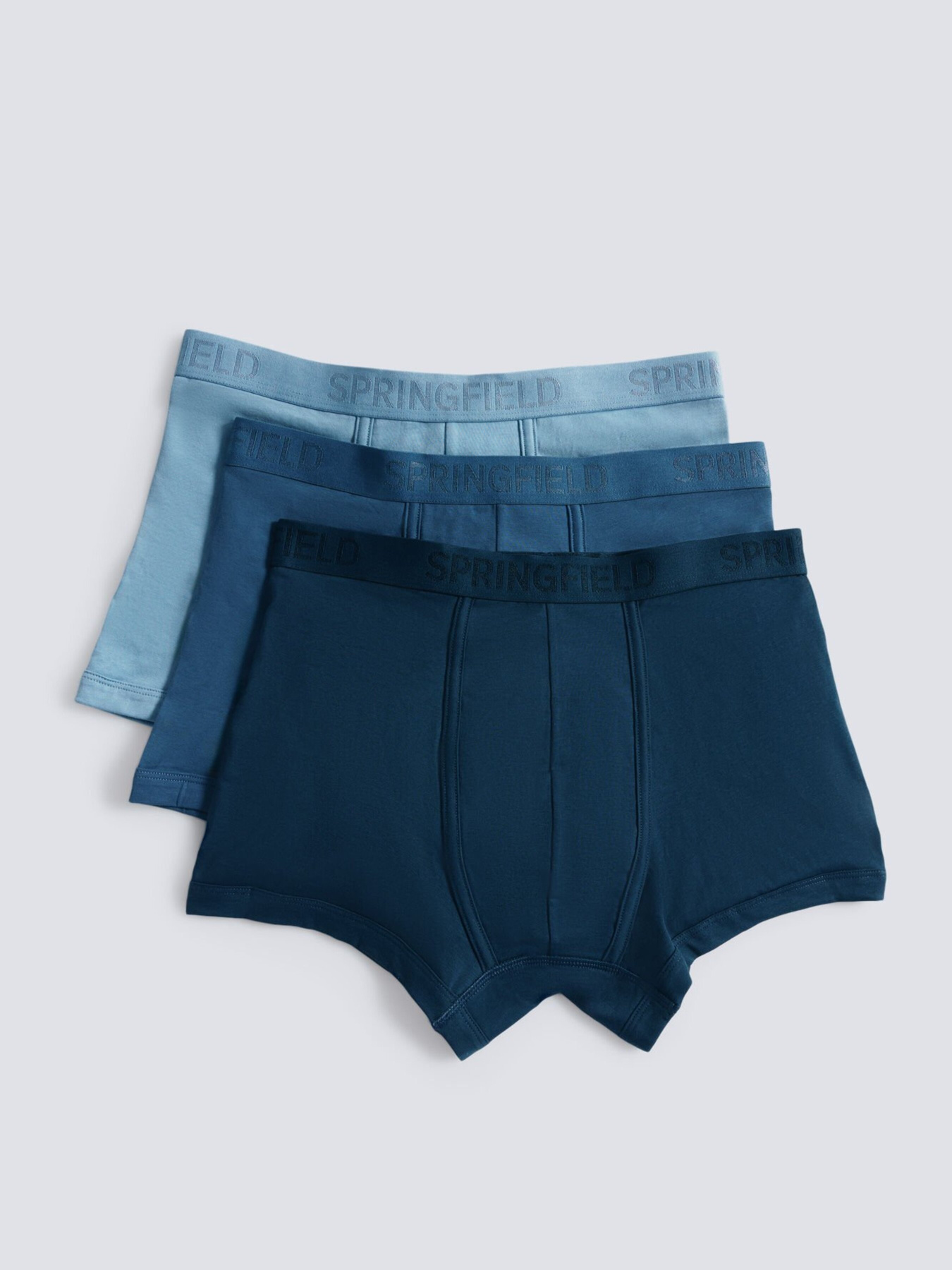 Набор трусов SPRINGFIELD модель 1252171-14 Фото