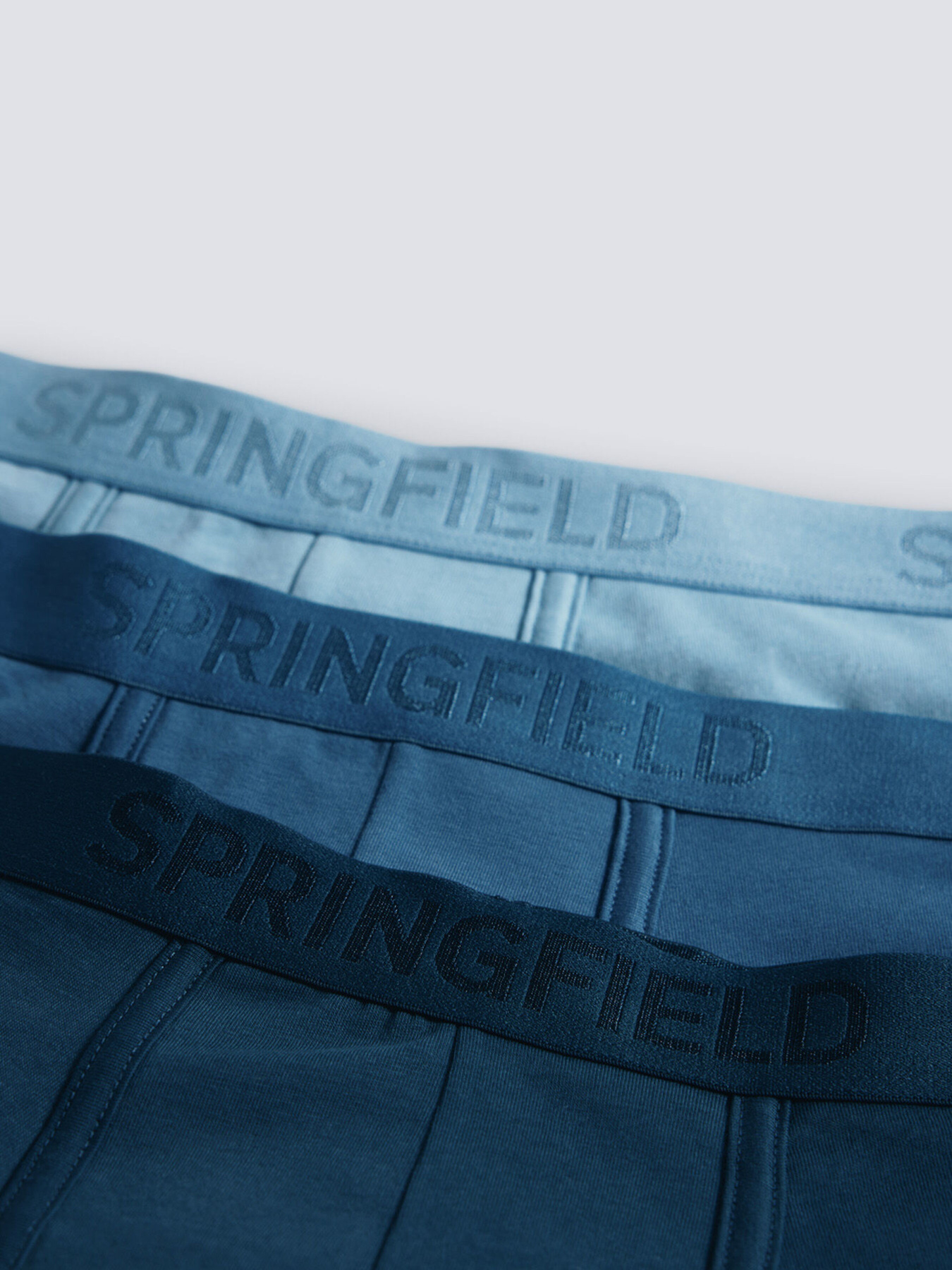 Набор трусов SPRINGFIELD модель 1252171-14 Фото