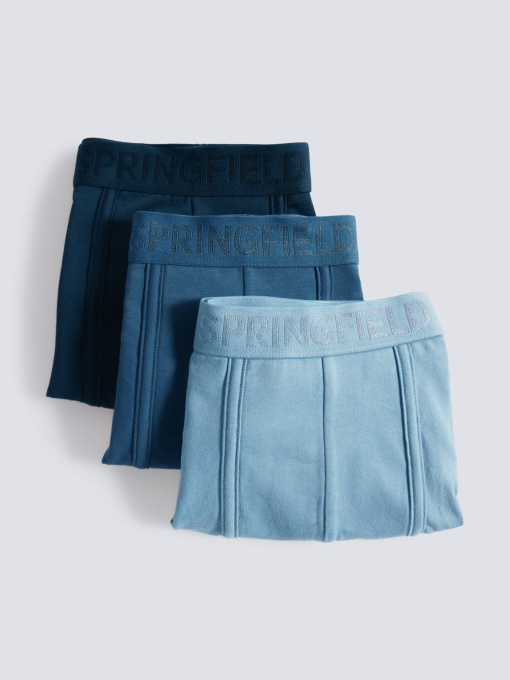 Набір трусів SPRINGFIELD модель 1252171-14 Фото