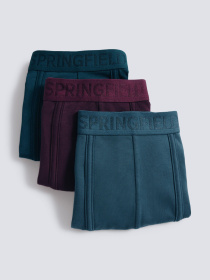 Набір трусів SPRINGFIELD Модель 1252171-83 Фото