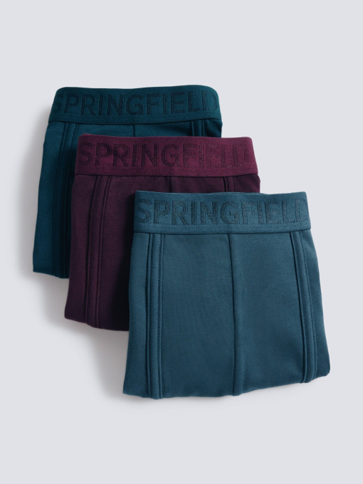 Набір трусів SPRINGFIELD модель 1252171-83 Фото