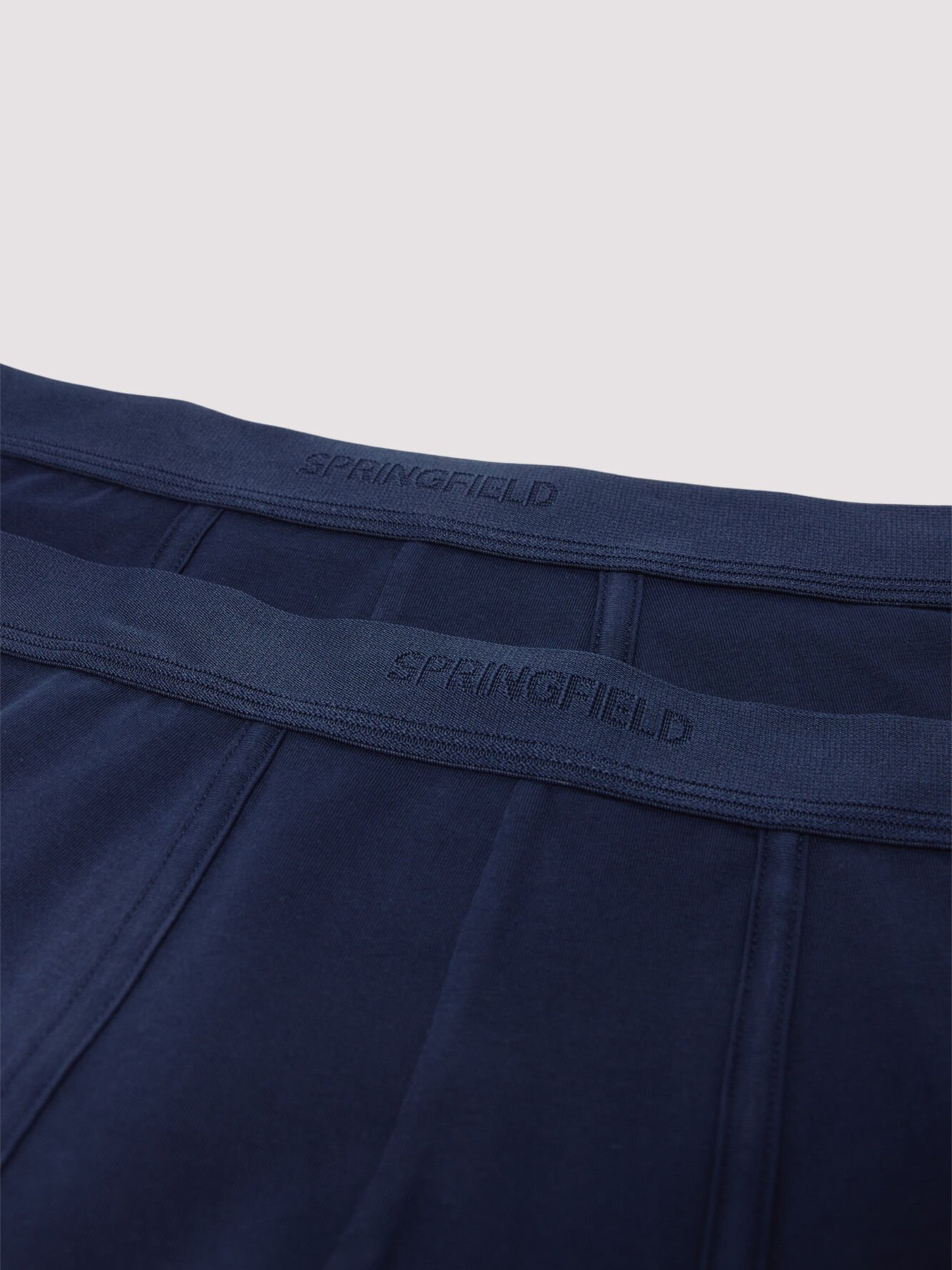 Набір трусів SPRINGFIELD модель 1252176-11 Фото