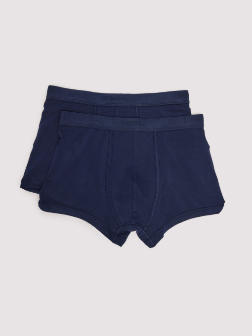 Набір трусів SPRINGFIELD модель 1252176-11 Фото