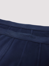 Набір трусів SPRINGFIELD модель 1252176-11 Набір трусів SPRINGFIELD модель 1252176-11 Фото