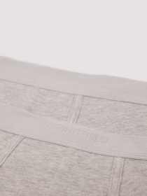 Набор трусов SPRINGFIELD модель 1252176-46 Фото