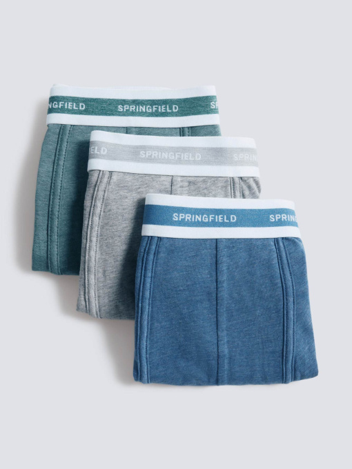 Набір трусів SPRINGFIELD модель 1252181-15 Фото