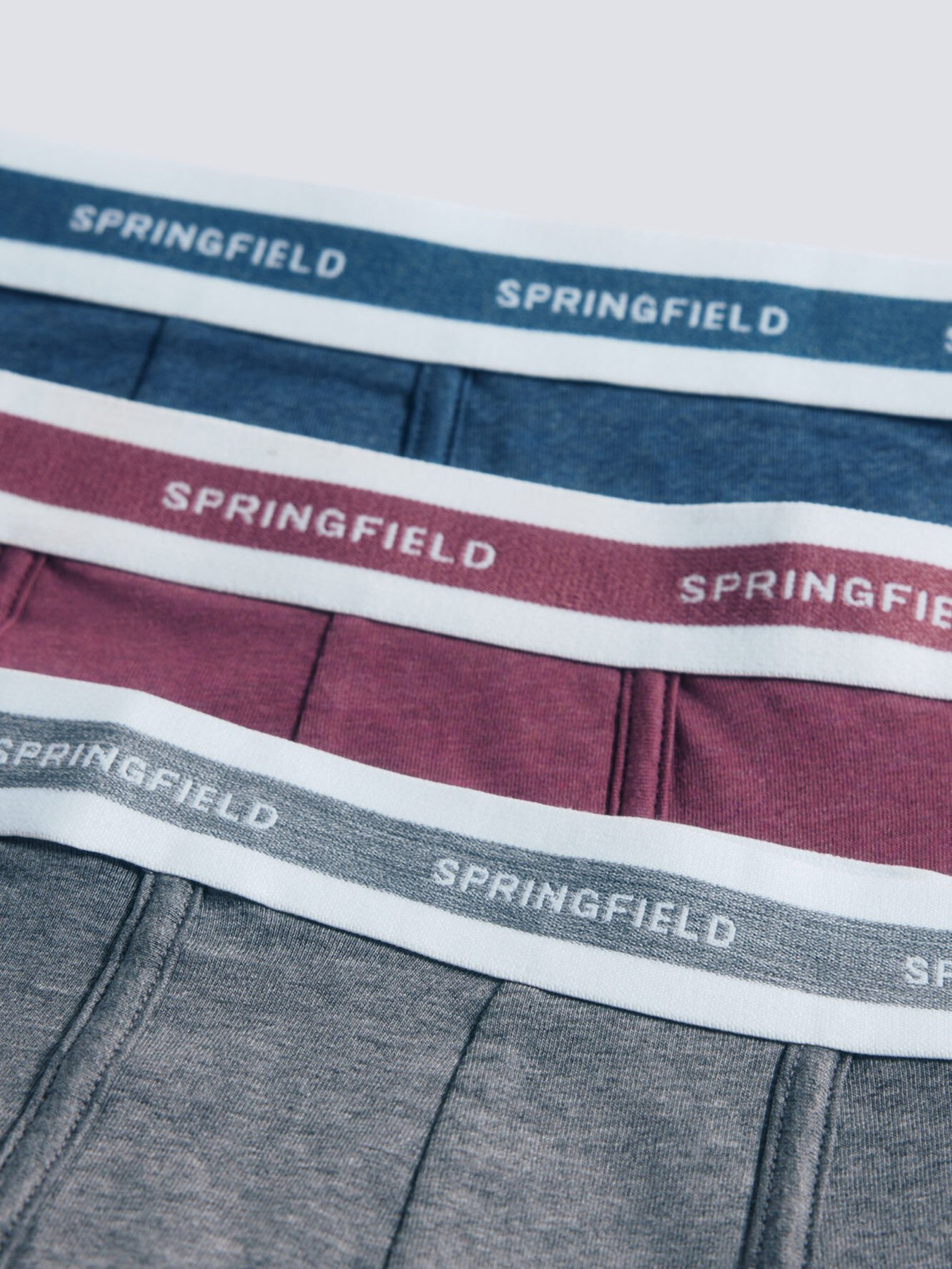 Набор трусов SPRINGFIELD модель 1252181-68 Фото