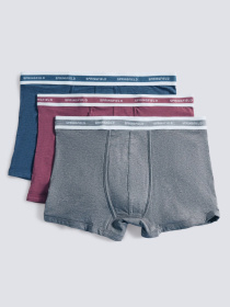 Набор трусов SPRINGFIELD модель 1252181-68 Фото