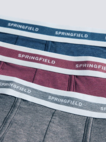 Набор трусов SPRINGFIELD модель 1252181-68 Фото