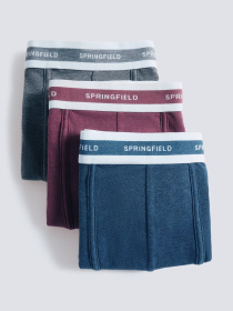 Набір трусів SPRINGFIELD Модель 1252181-68 Фото