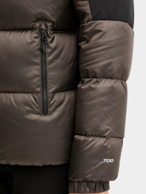 Куртки и дубленки The North Face модель NF0A8E140BI1 Фото