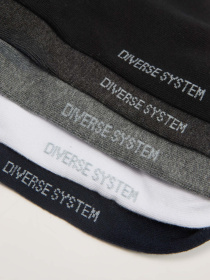 Набір шкарпеток DIVERSE Lakir 5p 254 модель 10047479 Фото