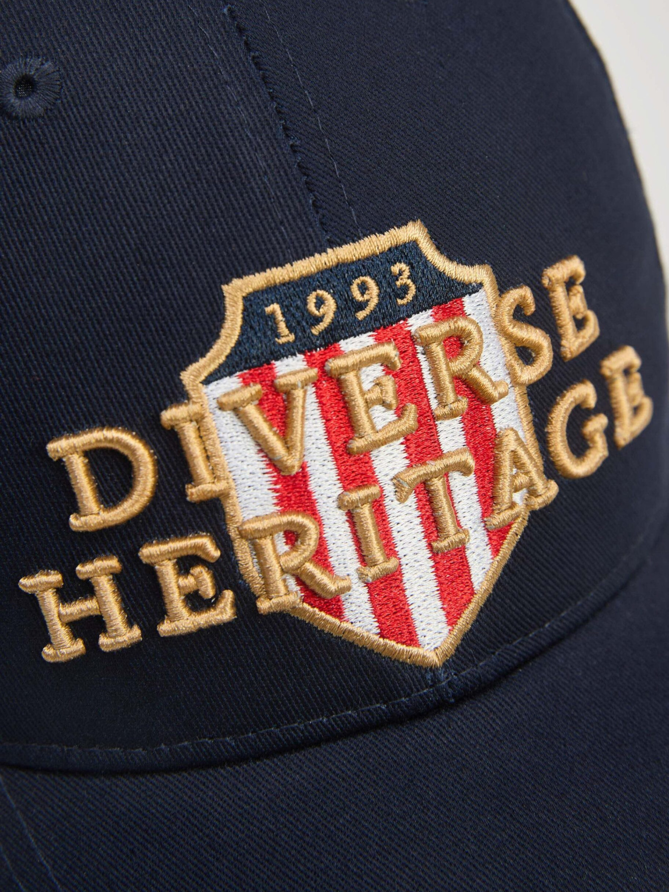 Кепка DIVERSE Tigger C 254 модель 10047474 Фото