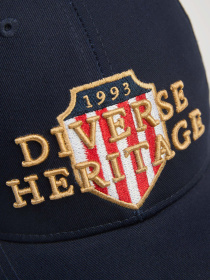 Кепка DIVERSE Tigger C 254 модель 10047474 Фото