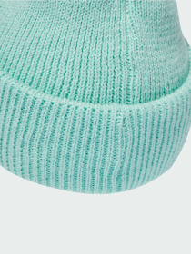 Шапка Adidas модель JX1267 Фото