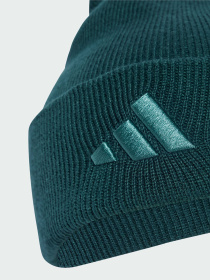 Шапка Adidas модель JX5747 Фото