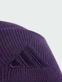 Шапка Adidas Модель JX5748 Фото