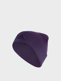 Шапка Adidas модель JX5748 Шапка Adidas модель JX5748 Фото