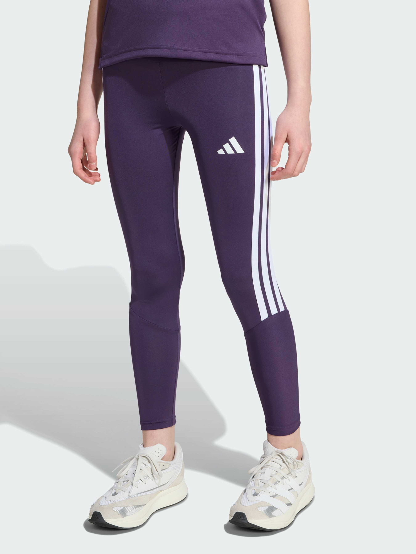 Леггинсы Adidas модель JW5028 Фото