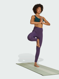 Леггинсы спортивные Adidas модель JW7591 Фото