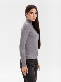 Водолазка Famo модель GO-1401_07 Фото