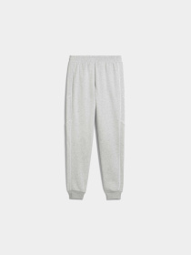 Штаны спортивные PUMA Sport Sweatpants Fl Cl модель 688396 Фото