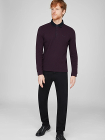 Джемпер Pierre Cardin модель C5 30324.3027.4221 Фото