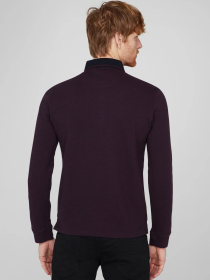 Джемпер Pierre Cardin модель C5 30324.3027.4221 Фото