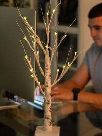 Дерево светодиодное на батарейках MBM MY HOME модель DH-LAMP-01 WHITE Фото