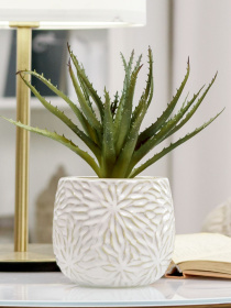 Искусственное растение в горшке MBM MY HOME модель DH-FLOWERS-13 GREEN/BEIGE Фото