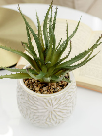 Искусственное растение в горшке MBM MY HOME модель DH-FLOWERS-13 GREEN/BEIGE Фото