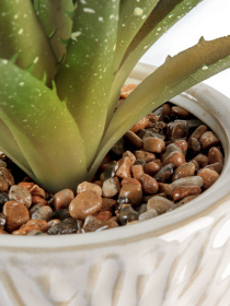 Искусственное растение в горшке MBM MY HOME модель DH-FLOWERS-13 GREEN/BEIGE Фото