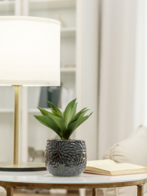 Искусственное растение в горшке MBM HOME модель DH-FLOWERS-13 GREEN/BLACK Искусственное растение в горшке MBM HOME модель DH-FLOWERS-13 GREEN/BLACK Фото