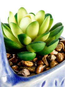 Искусственное растение в горшке MBM MY HOME модель DH-FLOWERS-20 GREEN/BLUE Фото