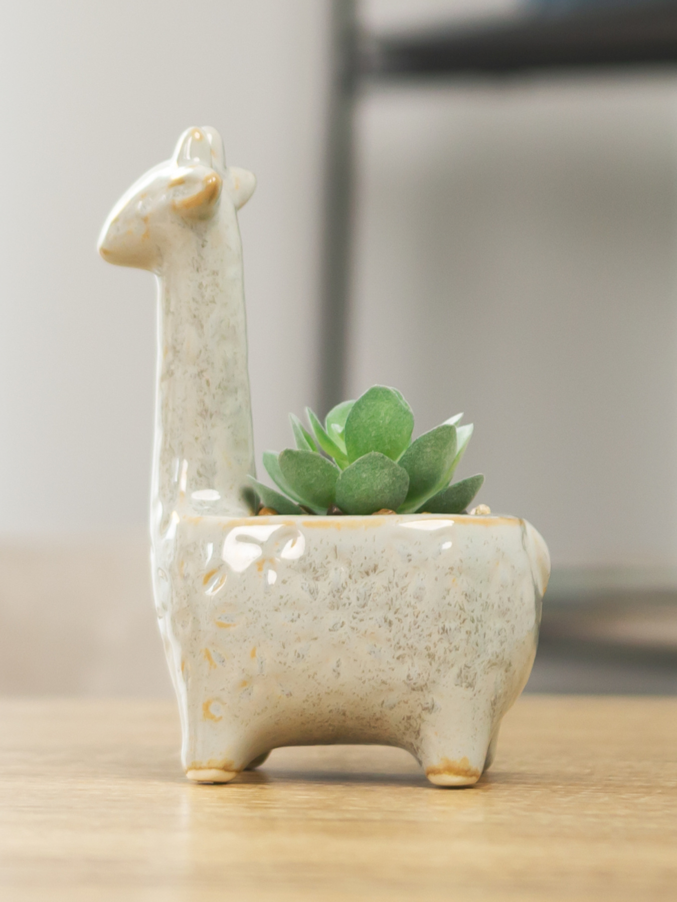 Искусственное растение в горшке MBM MY HOME модель DH-FLOWERS-20 GREEN/WHITE Фото