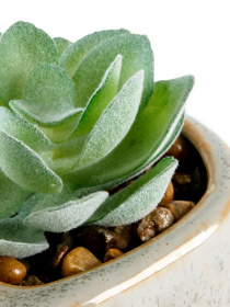 Искусственное растение в горшке MBM HOME модель DH-FLOWERS-20 GREEN/WHITE Искусственное растение в горшке MBM HOME модель DH-FLOWERS-20 GREEN/WHITE Фото