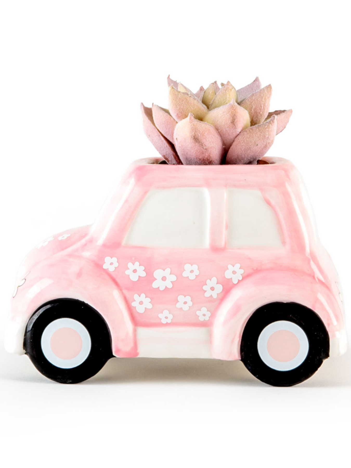 Штучна рослина у горщику "Машинка" MBM MY HOME модель DH-FLOWERS-23 GREEN/PINK Фото