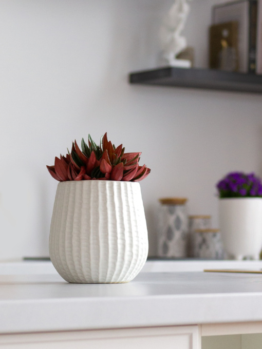 Горшок-кашпо для растений белый MBM MY HOME модель DH-FLOWERS-25 M WHITE Фото