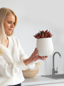 Горшок-кашпо для растений белый MBM HOME модель DH-FLOWERS-25 M WHITE Фото