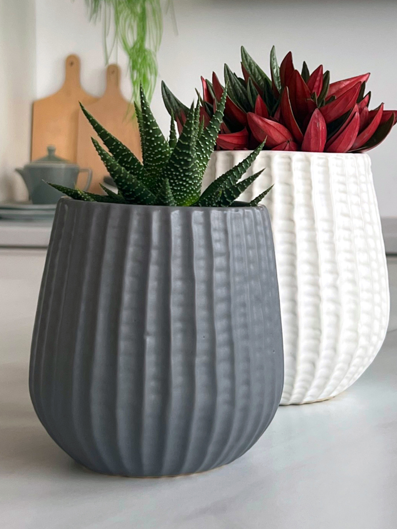 Горшок-кашпо для растений серый MBM HOME модель DH-FLOWERS-25 S GRAY Фото