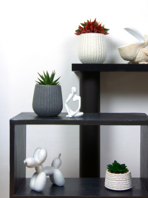 Горшок-кашпо для растений серый MBM HOME модель DH-FLOWERS-25 S GRAY Фото