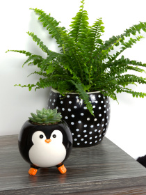 Горшок-кашпо для растений черный MBM MY HOME модель DH-FLOWERS-27 BLACK Фото